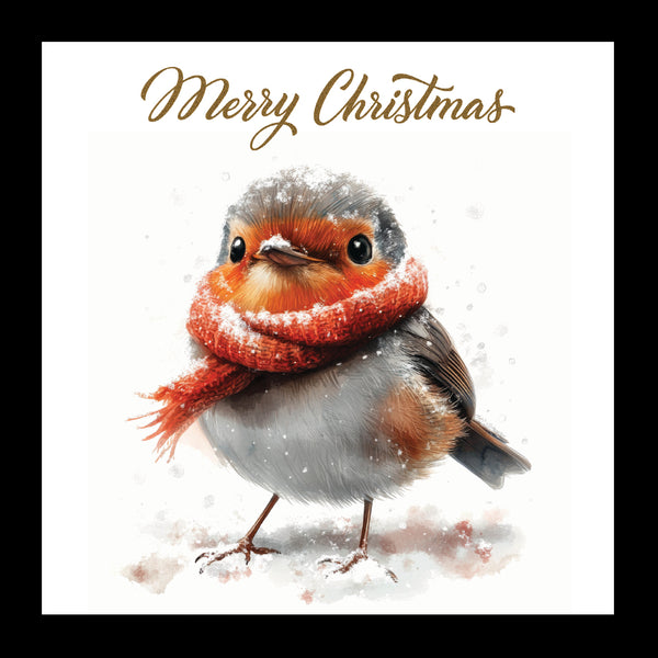 Warm Robin