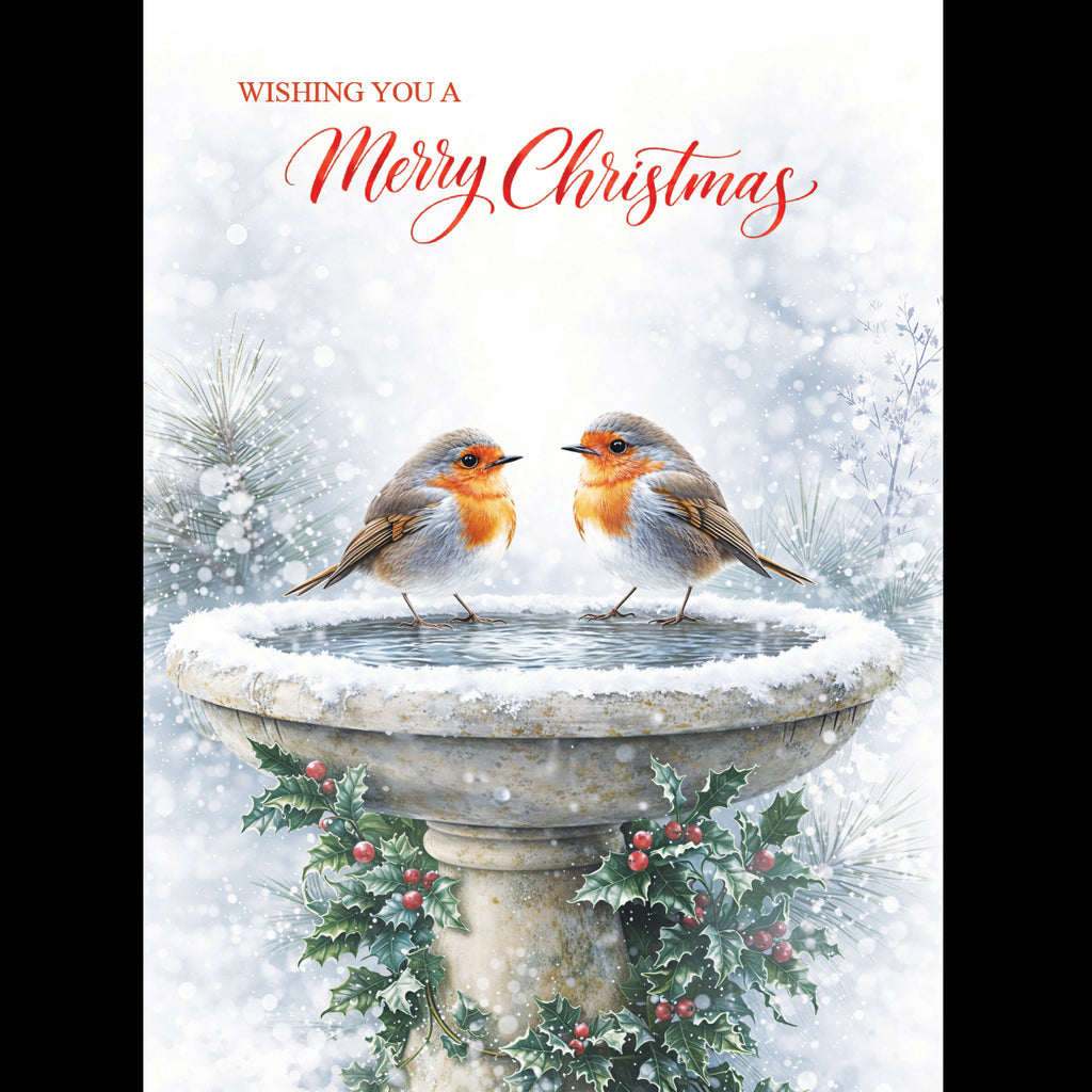 Robins on a Bird Bath